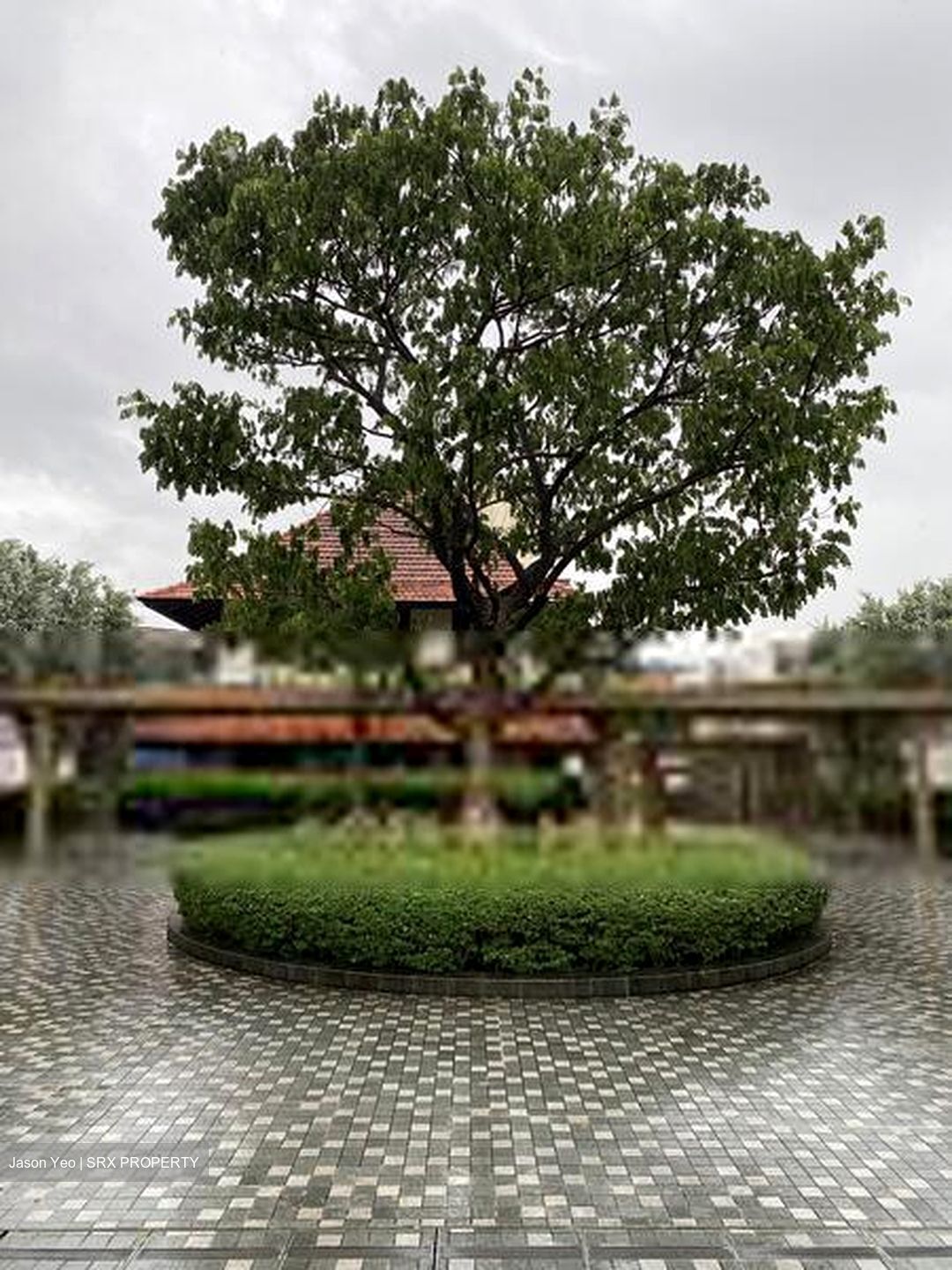 Sophia Hills (D9), Condominium #638166131